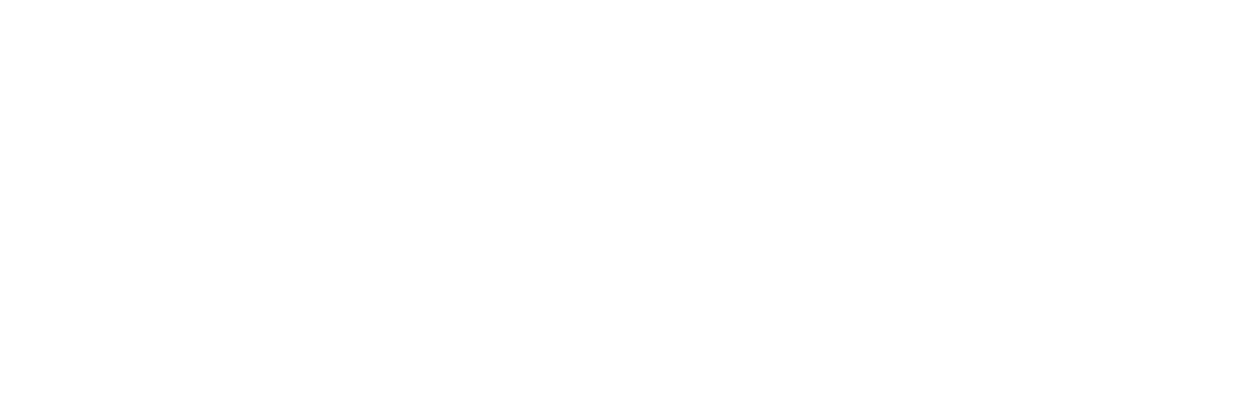 wpazleen.com dark logo